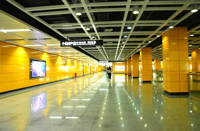 ���ݵ���