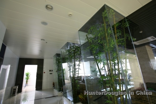 ��ͨ�������������ֵ²Ƹ���������